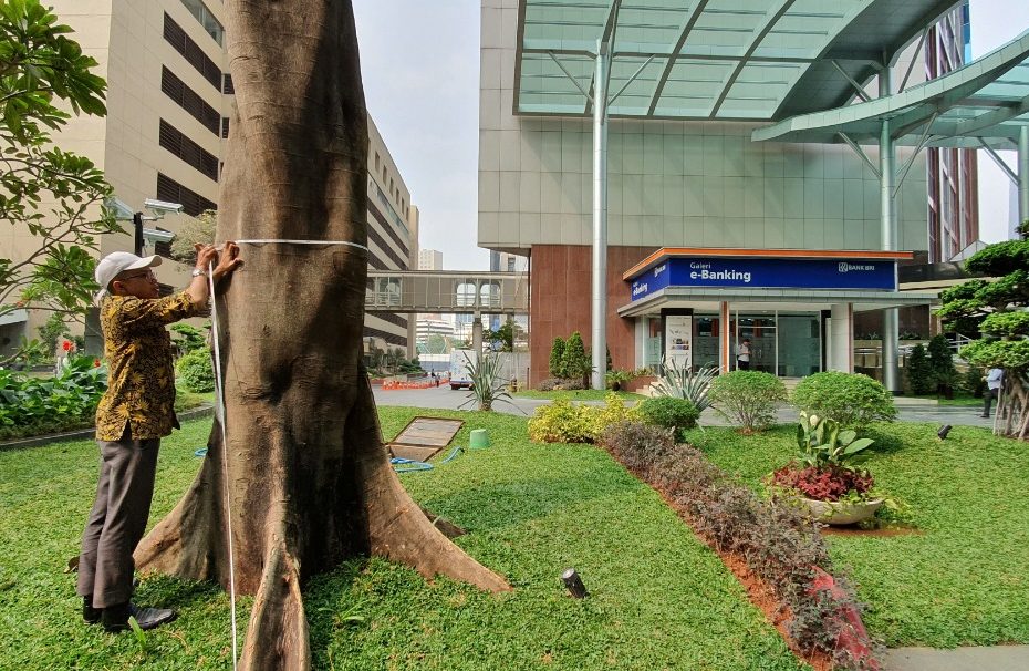 Jasa Pembuatan Taman Rumah